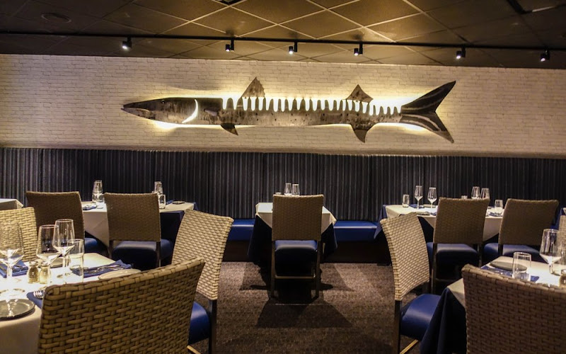 Kingfish