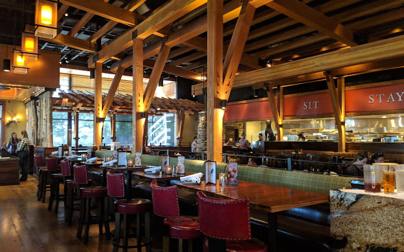 Lazy Dog Restaurant & Bar