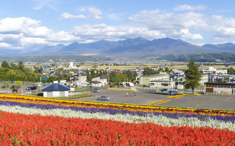 나카후라노 호쿠세이야마 라벤더원