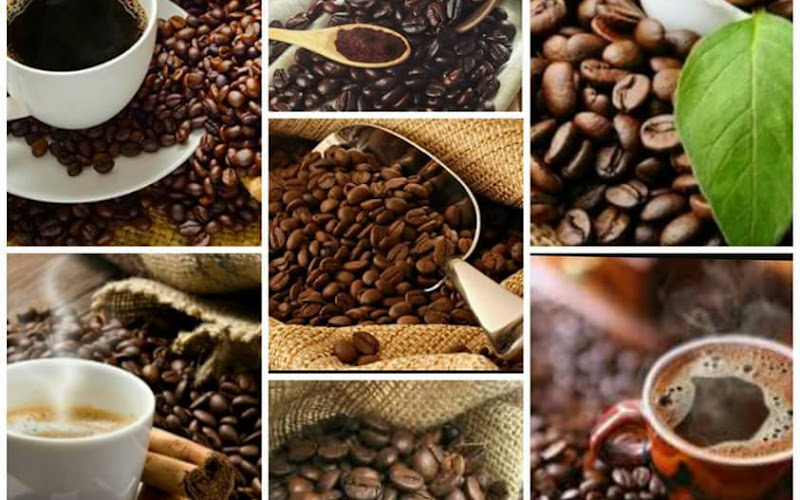 Buddy Coffee ณ วังน้ำเขียว