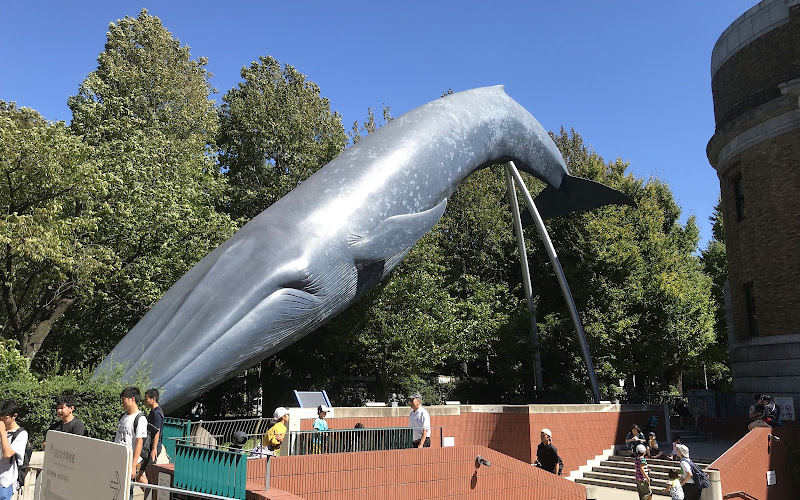 國立科學博物館