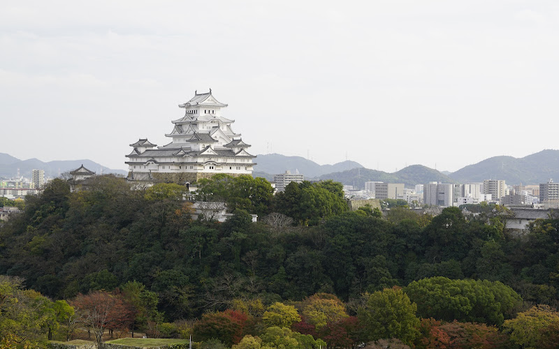 男山配水池公園
