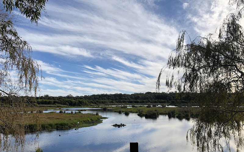 Yanchep Koala Boardwalk