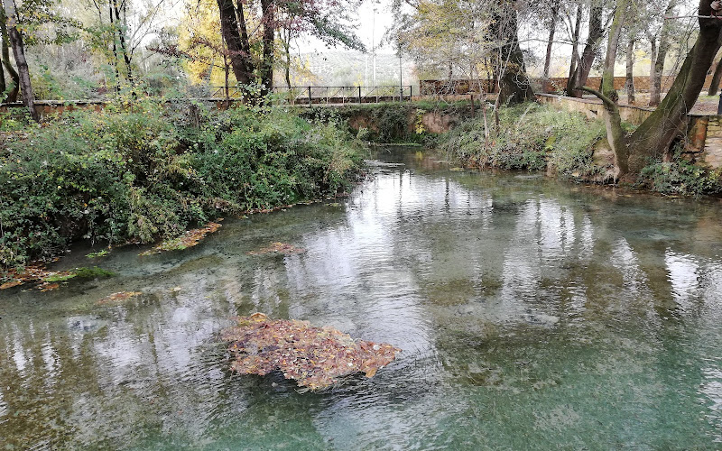 Parque El Nacimiento