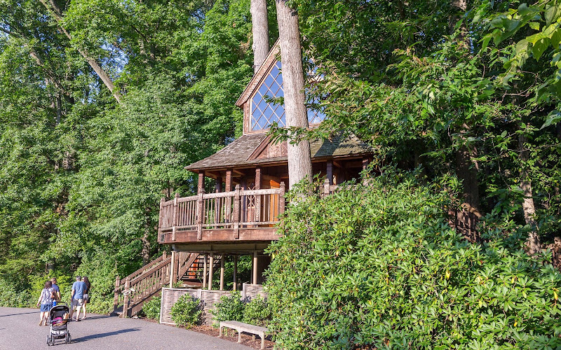 Canopy Cathedral Treehouse