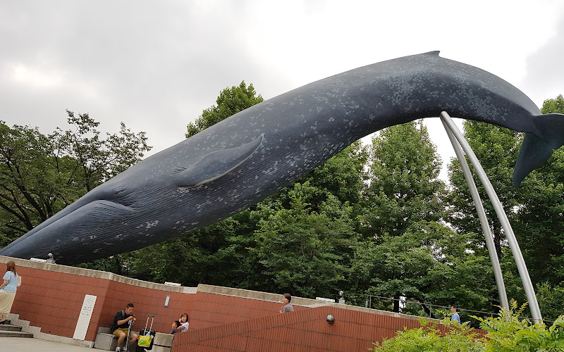国立科学博物館