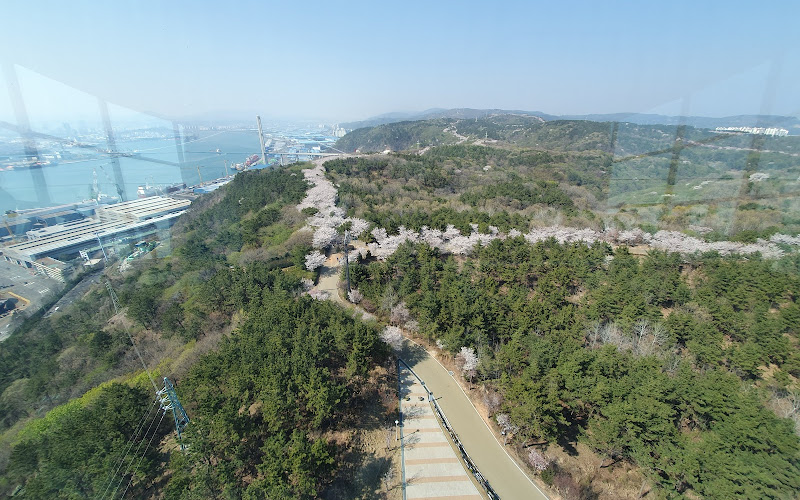 蔚山大橋展望台