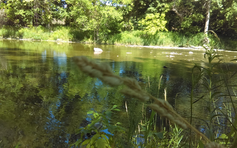 シカモア・シェルター