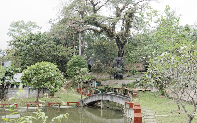 Krabi Town Night Market