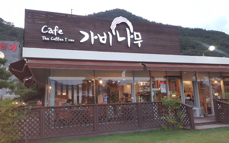 카페가비나무