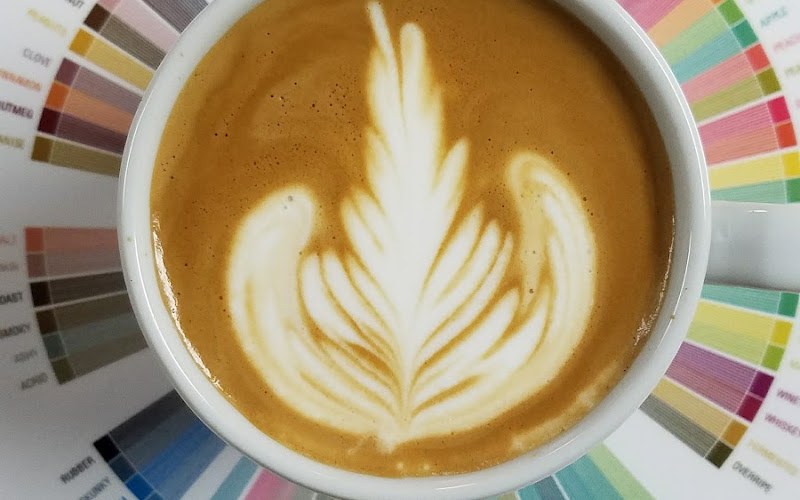 Javesca Coffee Roastery