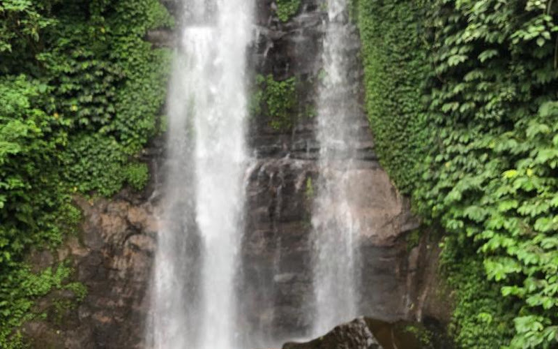 golden valley breeze-eco cafe 1