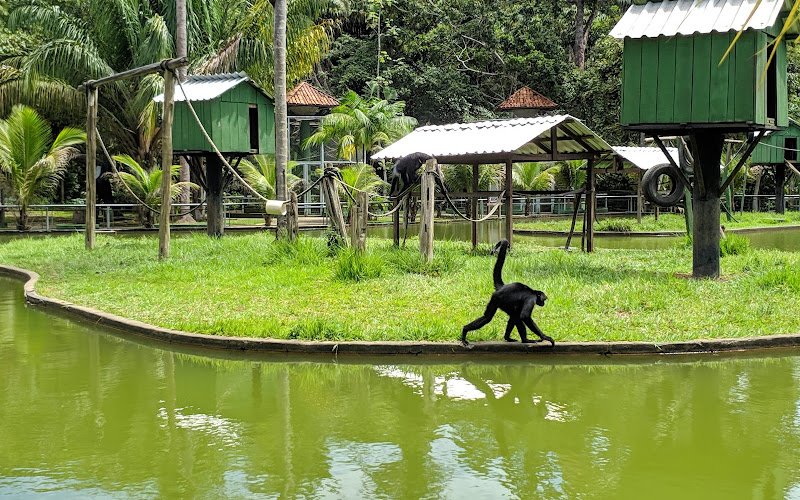 Zoológico Do CIGS 🐯