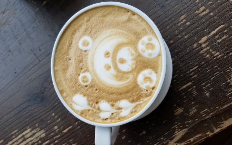 Blk Dot Coffee