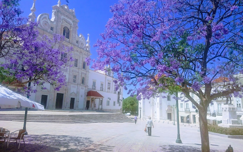 Cathedral of Our Lady of the Conception