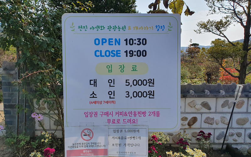 천진야생화관광농원