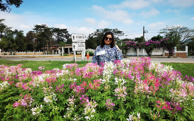 สวนวิลาวัณย์@วังน้ำเขียว