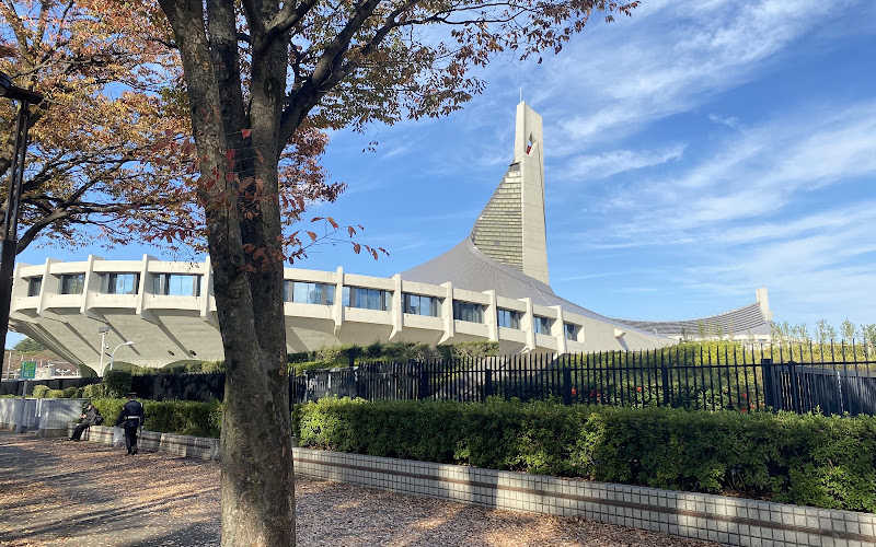 Yoyogi Park Zelkova Avenue