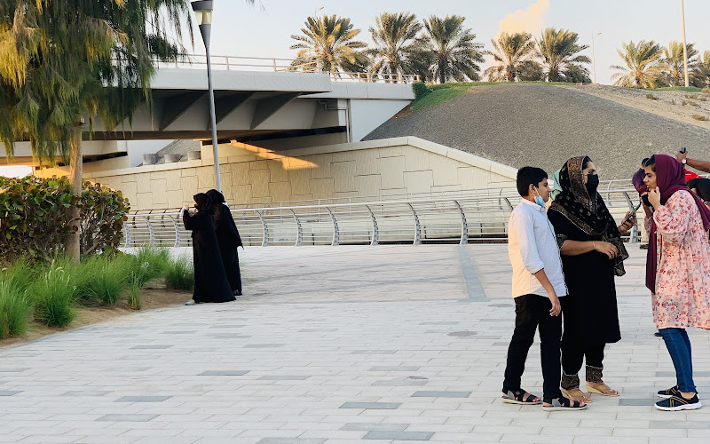 Al Zorah Mangrove / Ajman Abra / Ajman Boat service