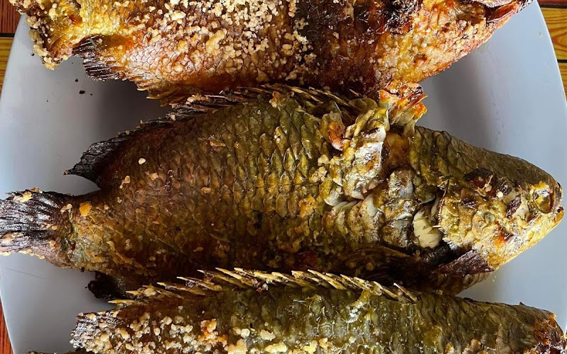 โชคดีปลาเผาเกลือ