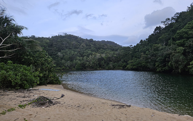 หาดหวายแฉก