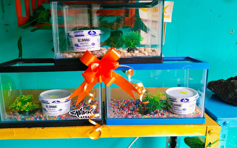 Acuario Shark Salina Cruz