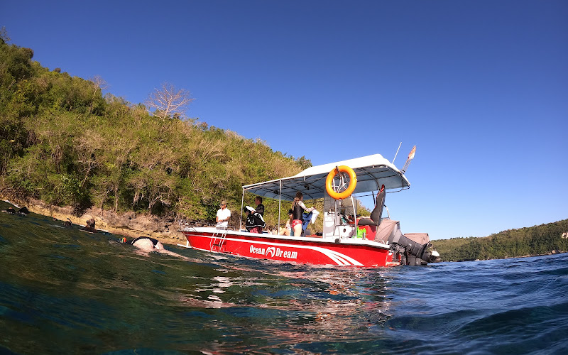 OCEAN DREAM LEMBONGAN