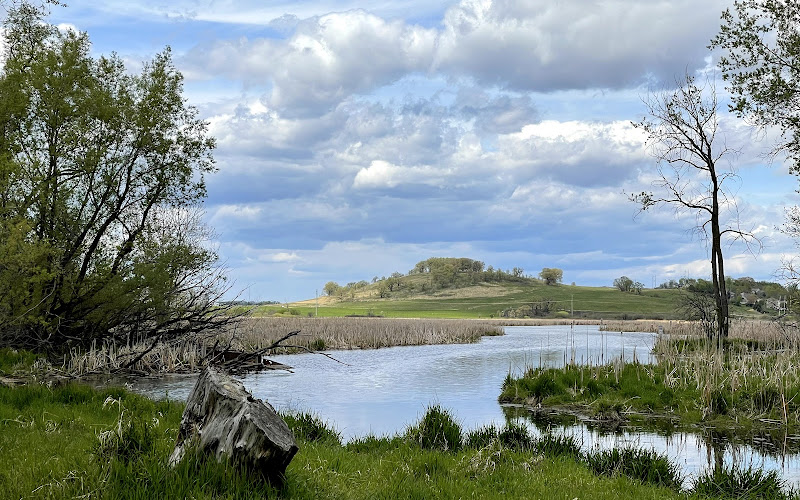 페즌트 브랜치 콘서번시