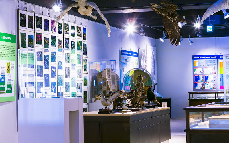 Yamagata University Museum