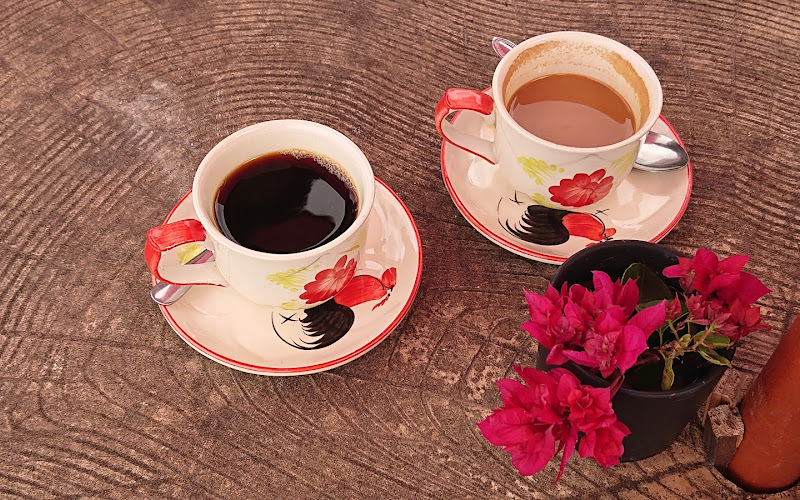 亜熱帯茶屋