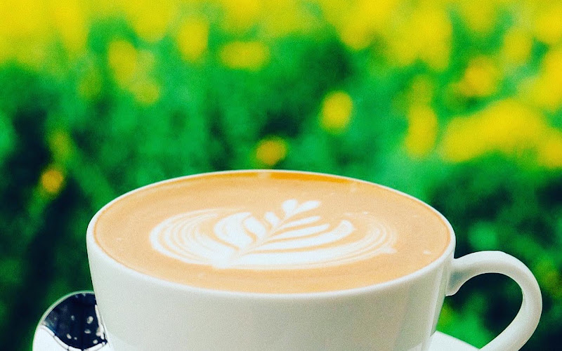 เดอะ แคมป์ปิ้ง ฟีลด์ คาเฟ่