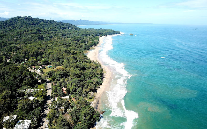 Playa Cocles