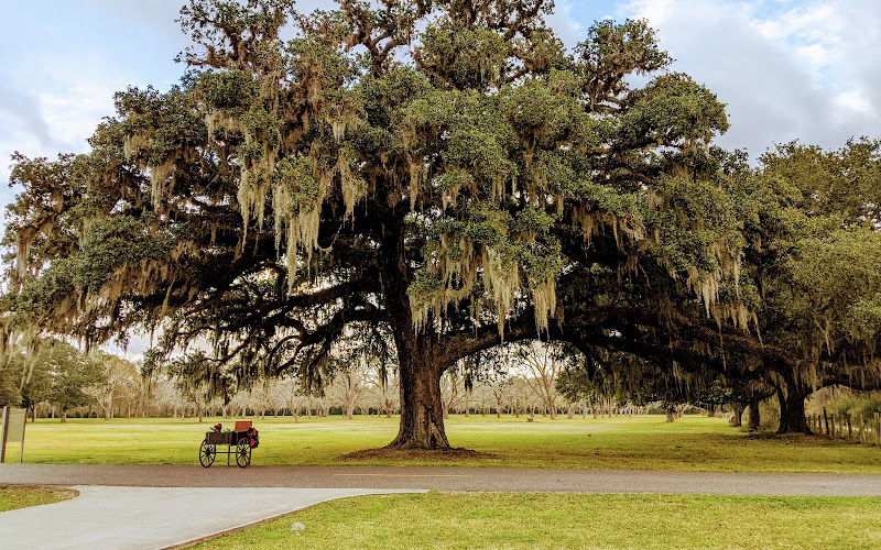 Varner-Hogg Plantation State Historic Site
