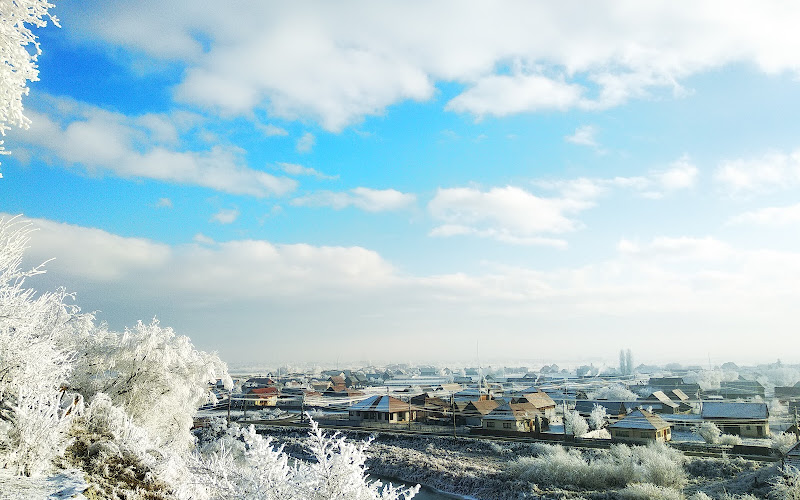 Világháborús emlékmű