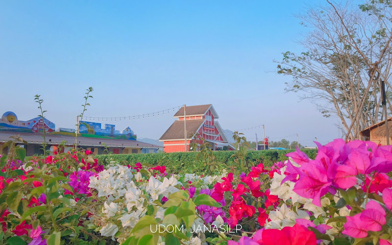Singha Park (View Point)