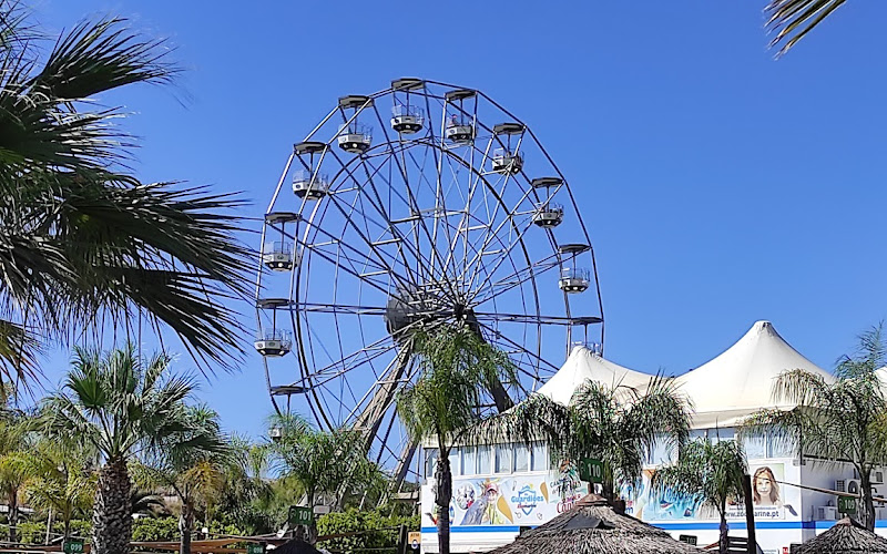 Dolphin Emotions by Zoomarine