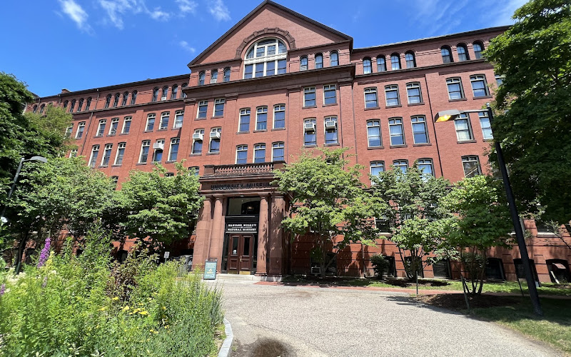 The Harvard Museum of Natural History