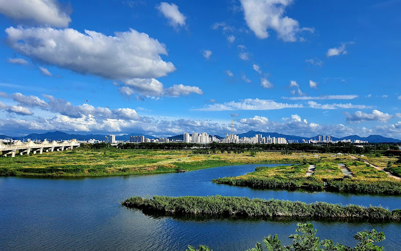 비비정 예술열차