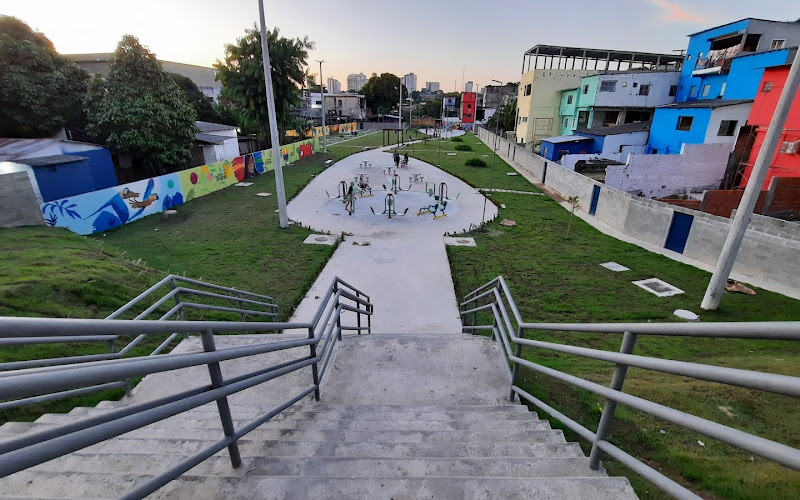 Parque das Araras