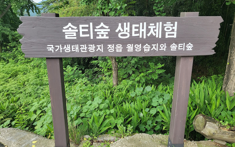 정읍 솔티숲
