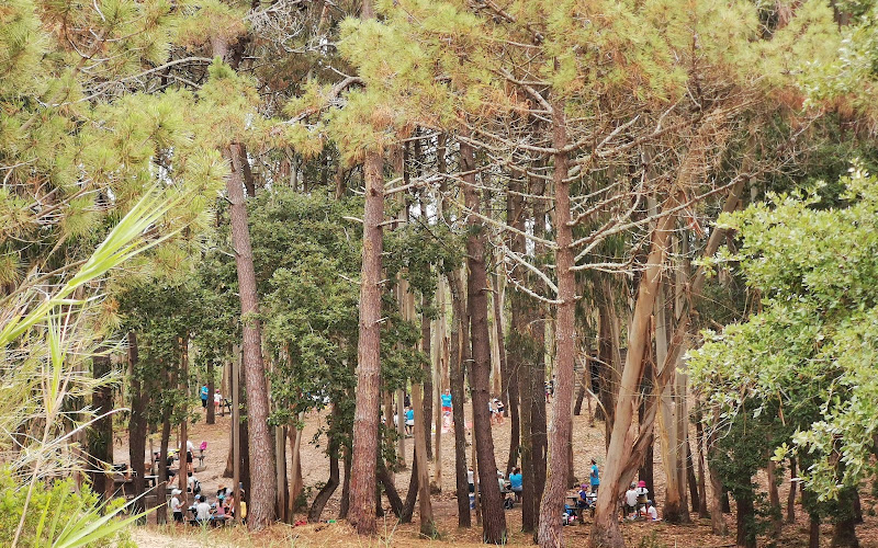 メレンダス公園