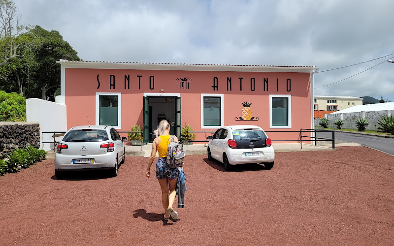 Ananás Santo António