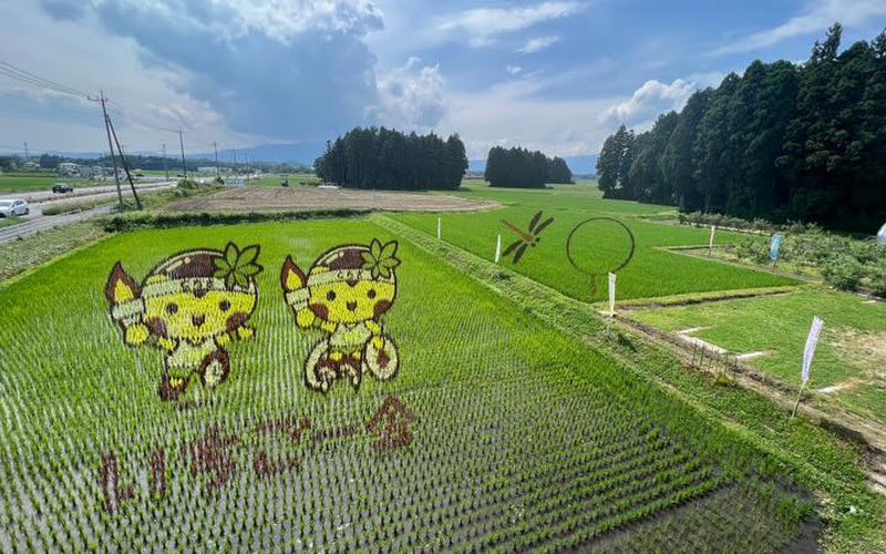 Rice Paddy Art Nasushiobara