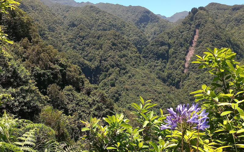 Levada da Silveira