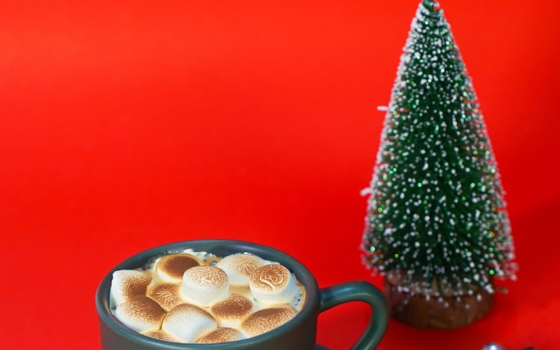 Daily Dose Cherngtalay