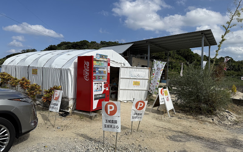 玉城天ぷら 今帰仁の揚げたて専門店