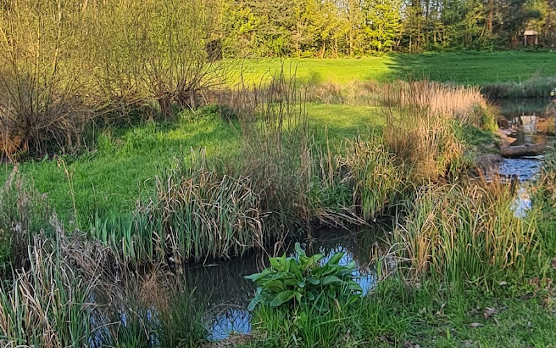 サニーデール・パーク