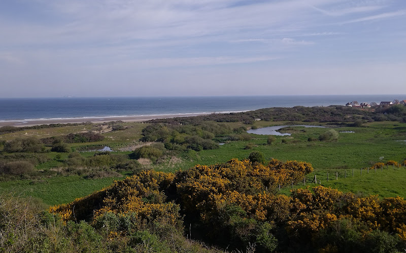 Site d'observation des oiseaux