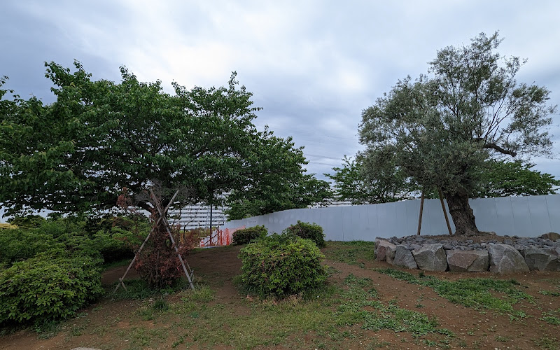Buiroku Tree