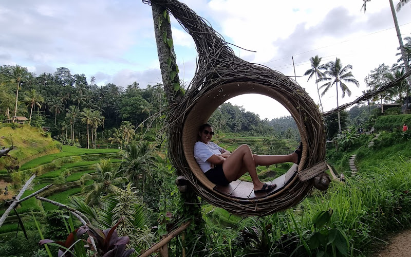 Abian Desa Rice Terrace